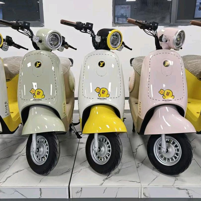 武汉晟伟哥电动车工厂仓储店