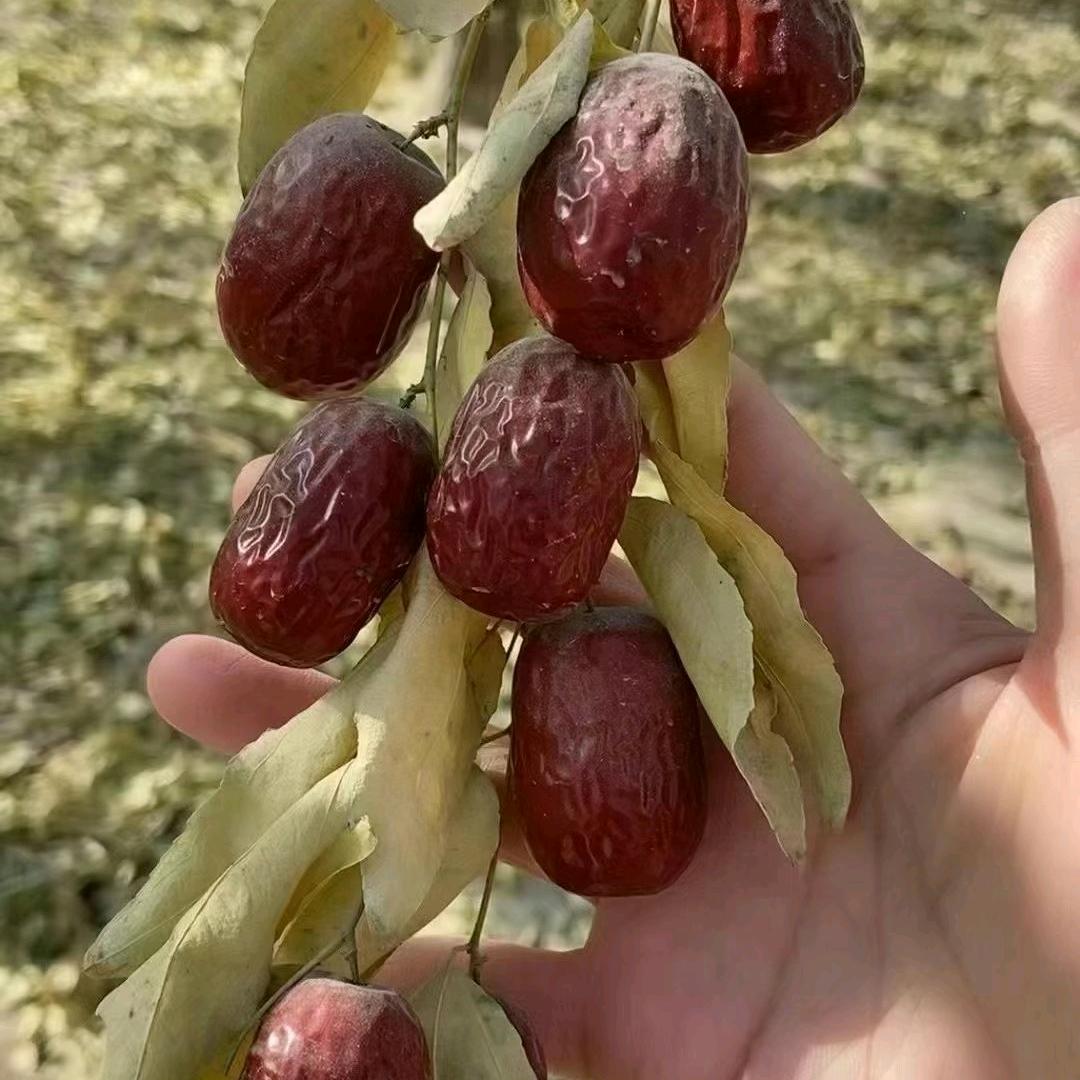 谢聪玲优品小铺