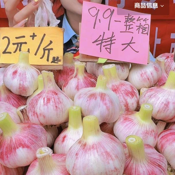 美尔鲜精品农产品商行零售店