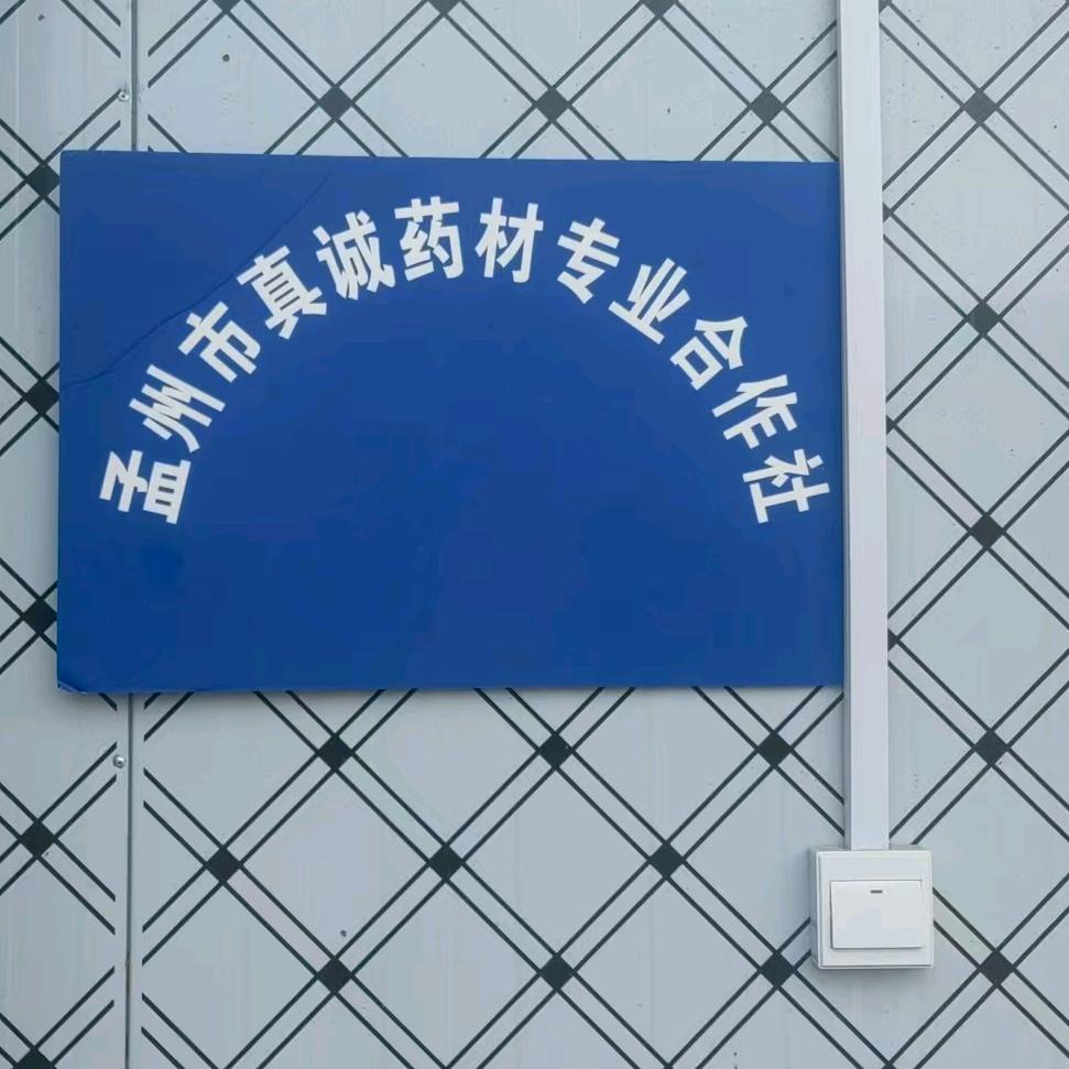 朱家三妹
