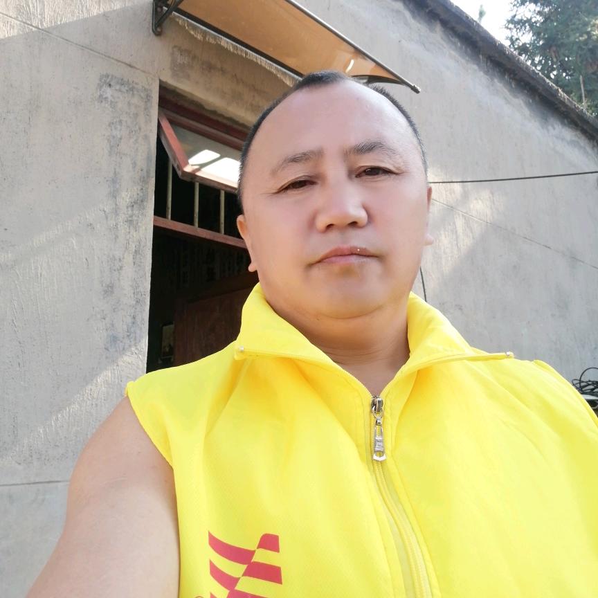 夕阳下阳光。熊