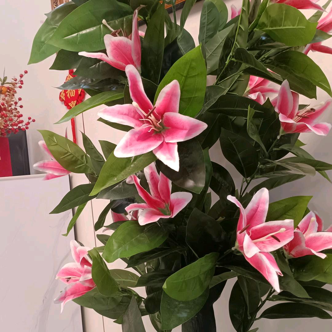 张老幺