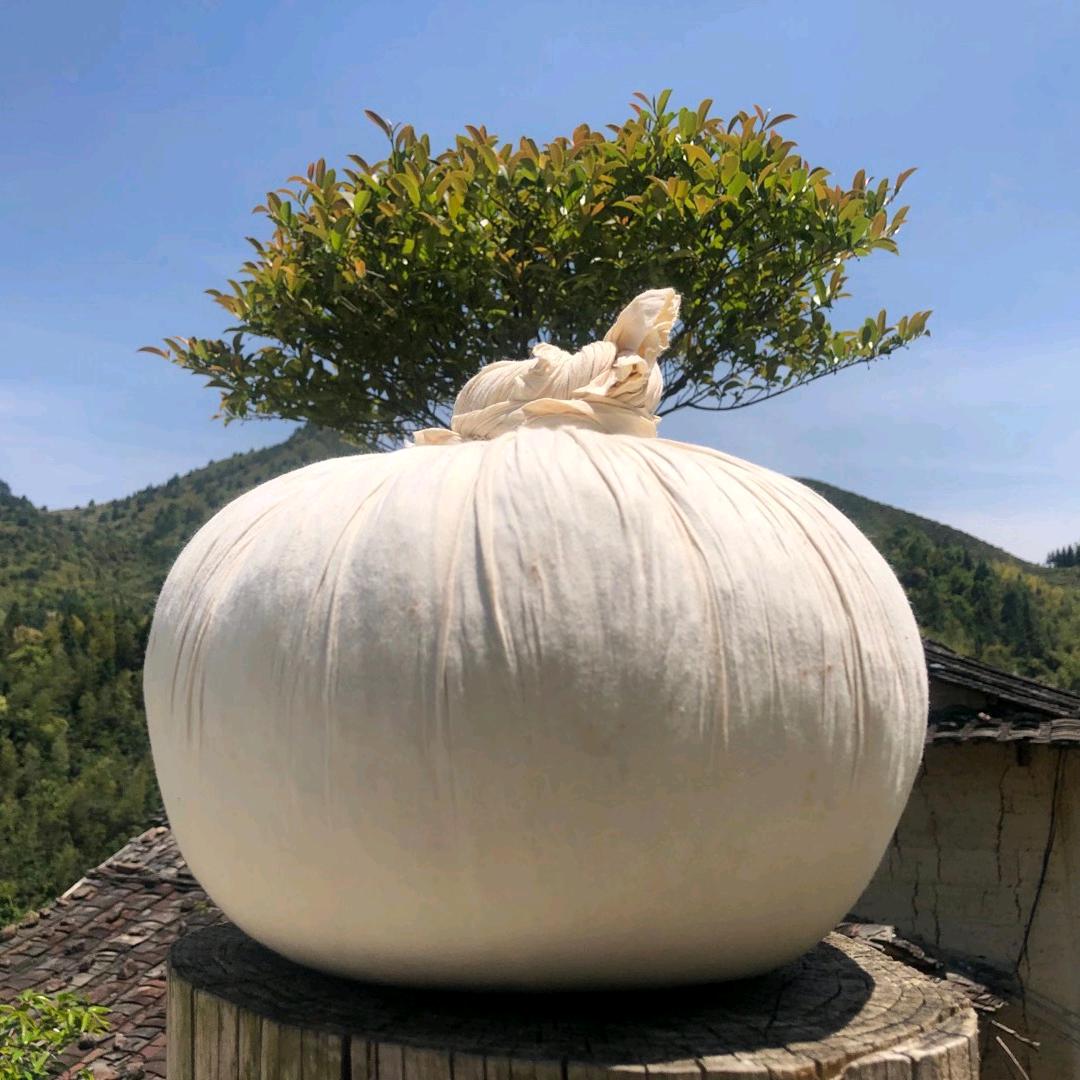 长溪茶业