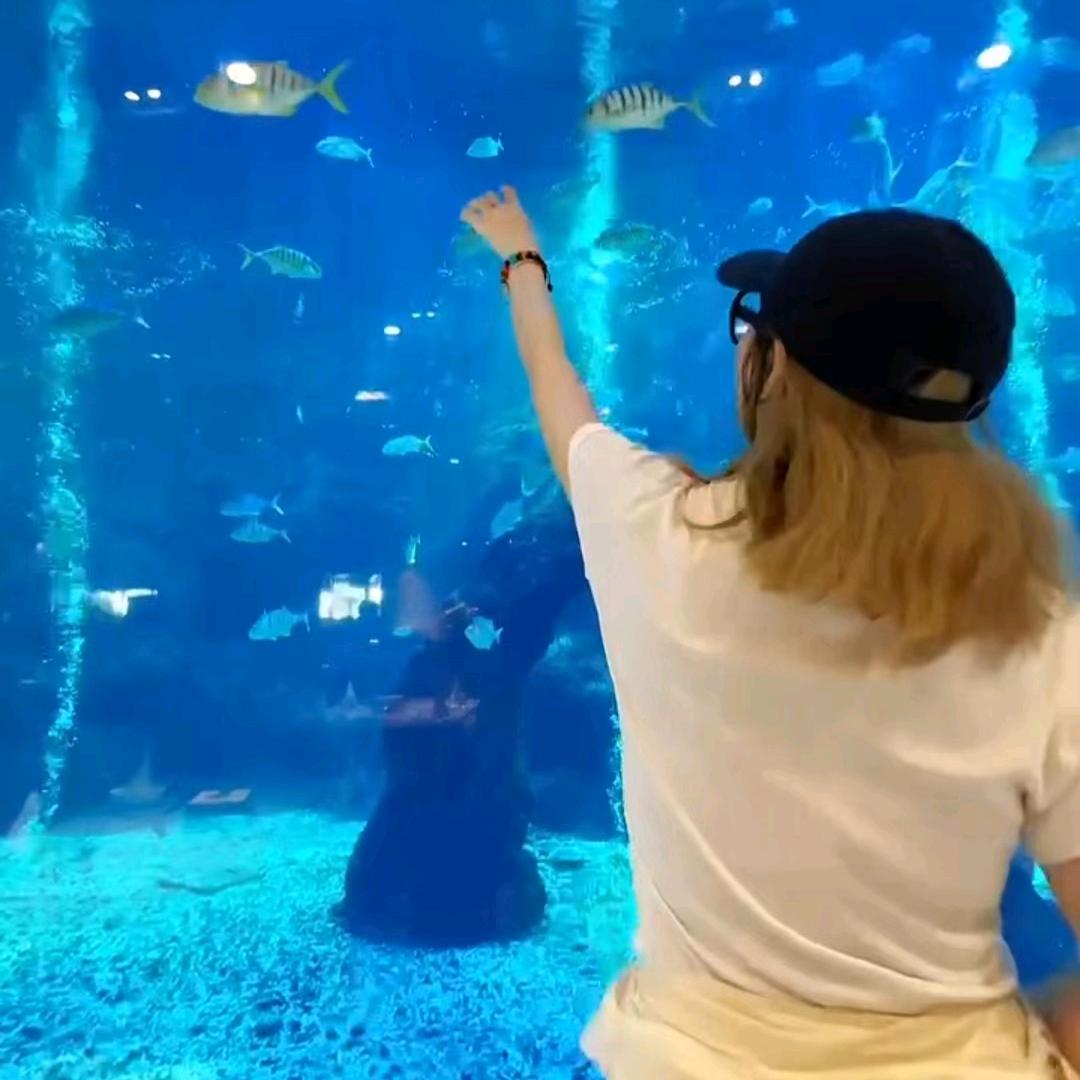湉妈旅行记