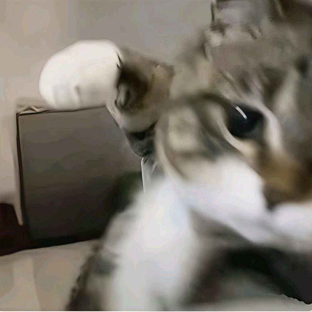 PiperLyraYves头像