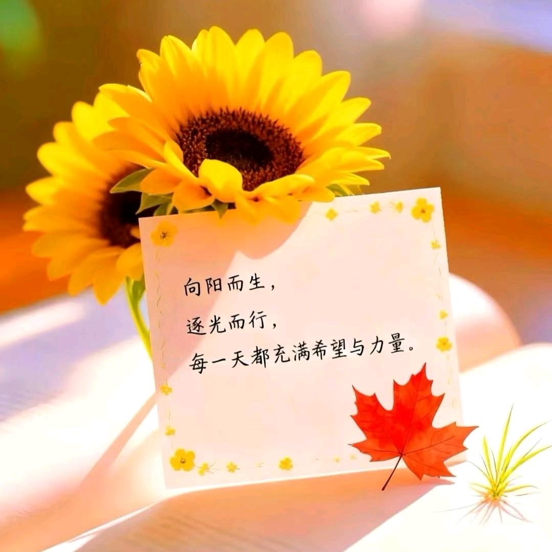 兰姿纯中药头疗美容养生