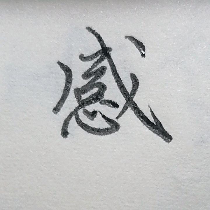捉梨练字