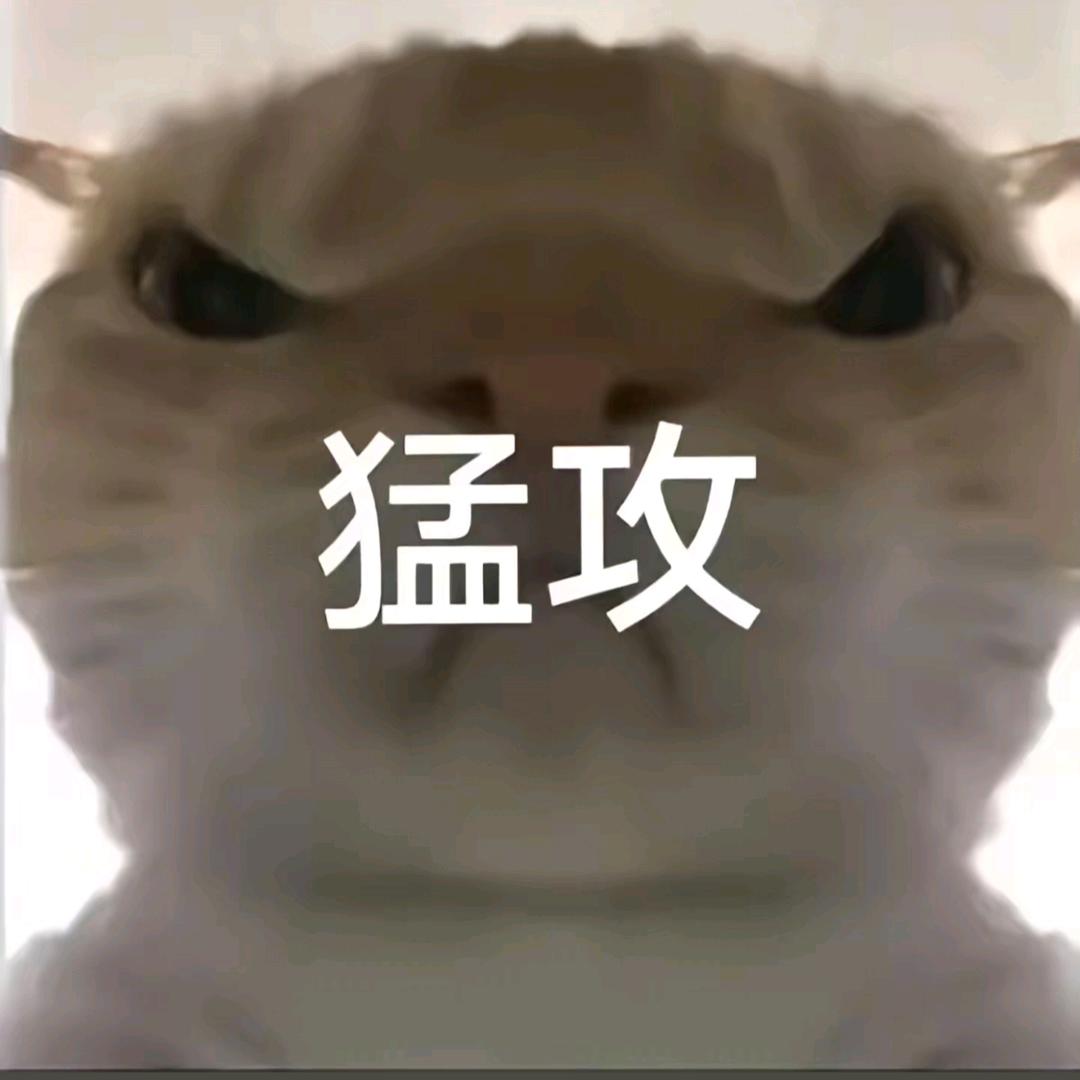 五点起床去拾粪