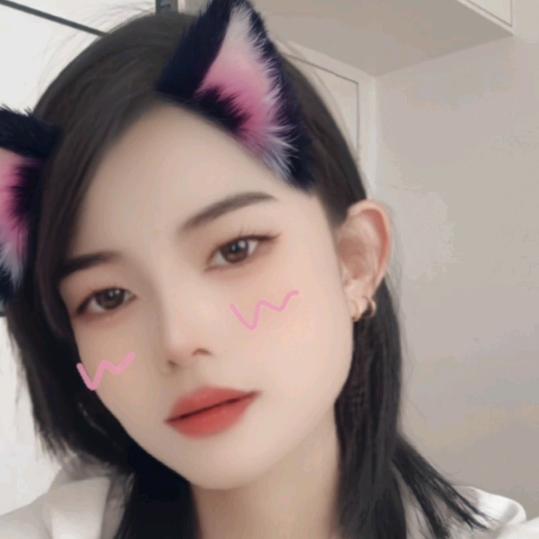 伪装