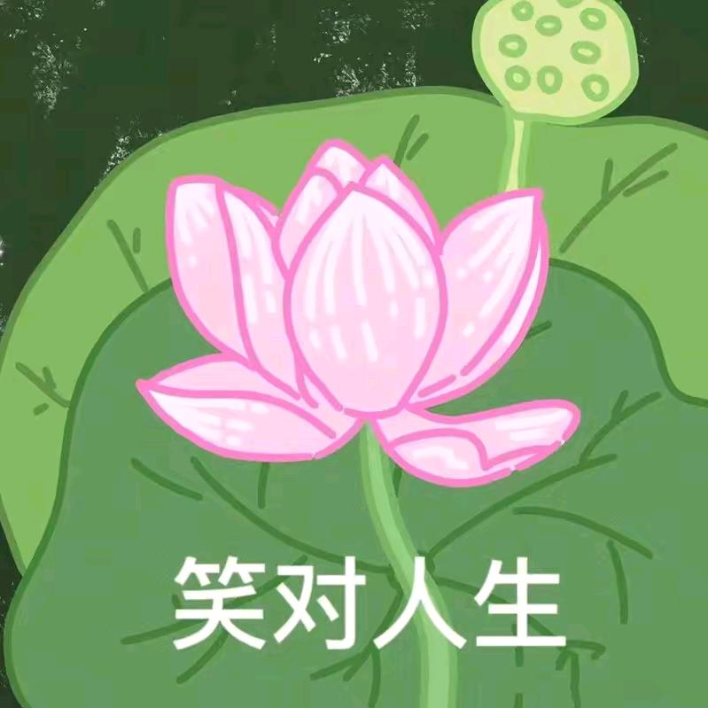 笑对人生好运莲花