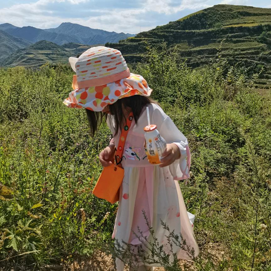 竹子🎋