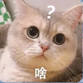 恋时海