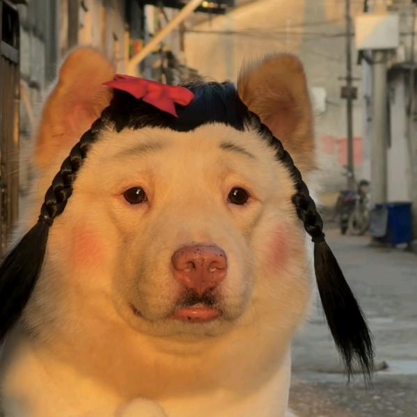 又能又壮