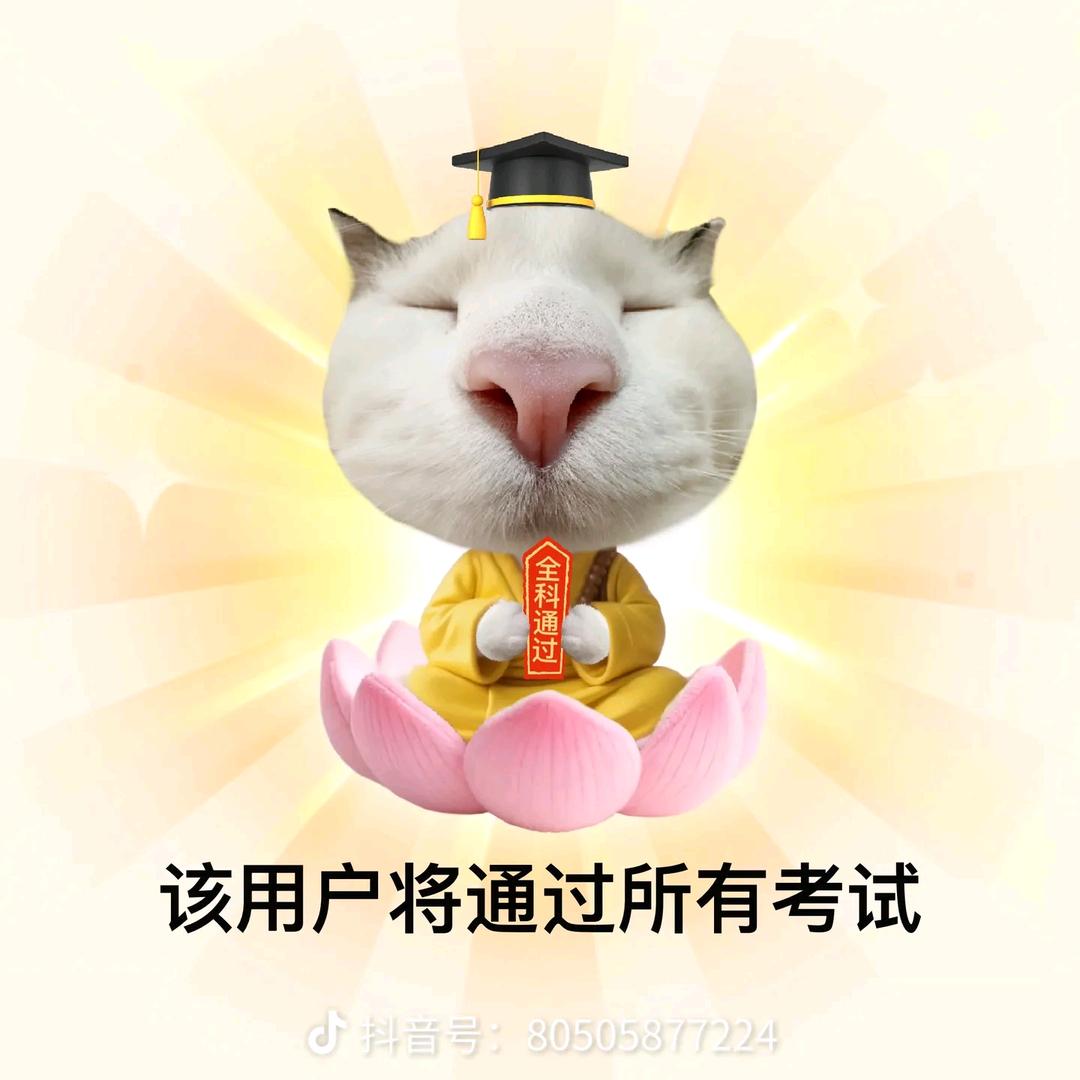 荔只只