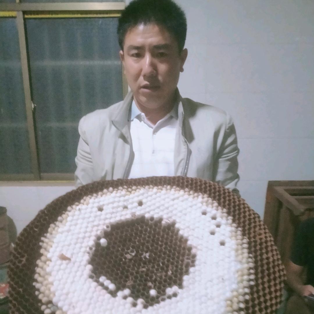 〓(∵魏来可期∵)〓