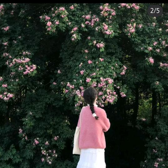 小诺巧妹🌺