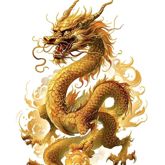 龙恒鞋服
