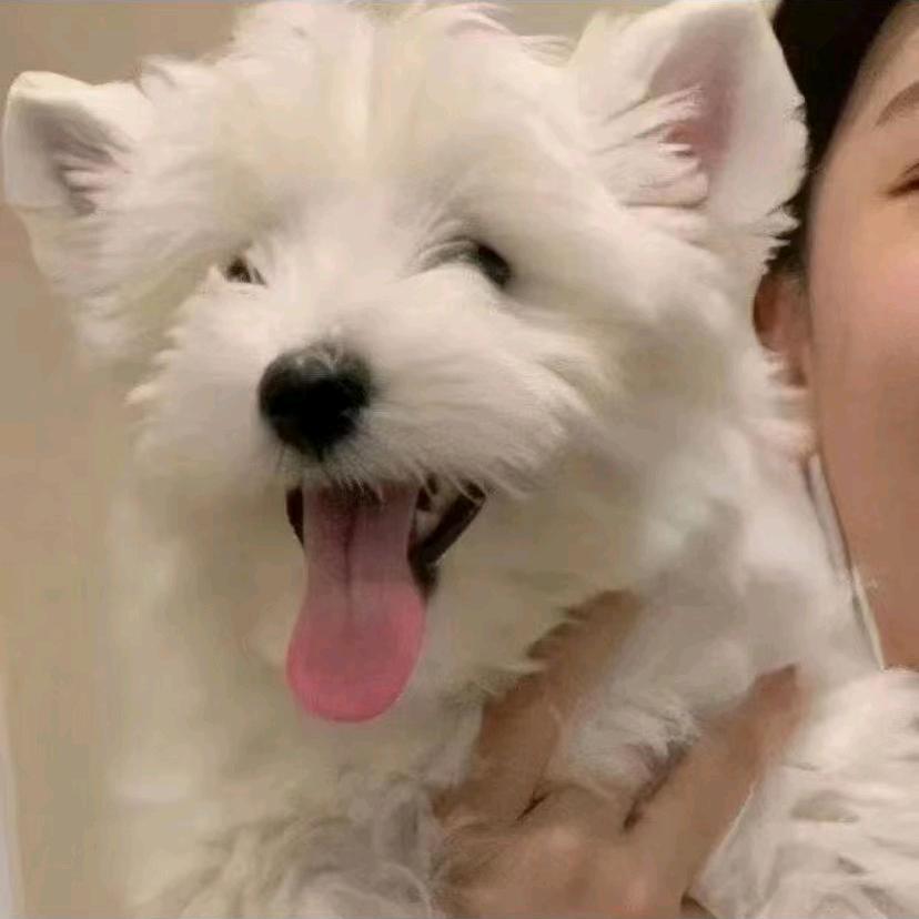 十口