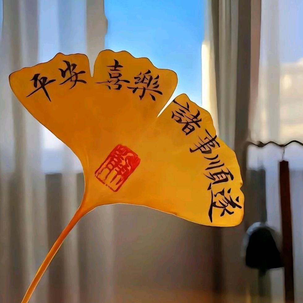 过往不提只谈往后…꧔ꦿ້໌࿐