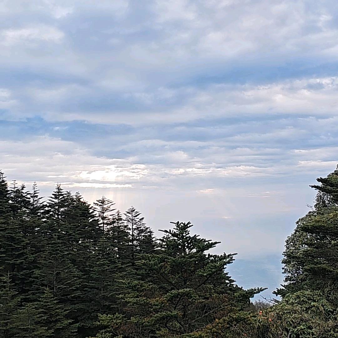 浅浅