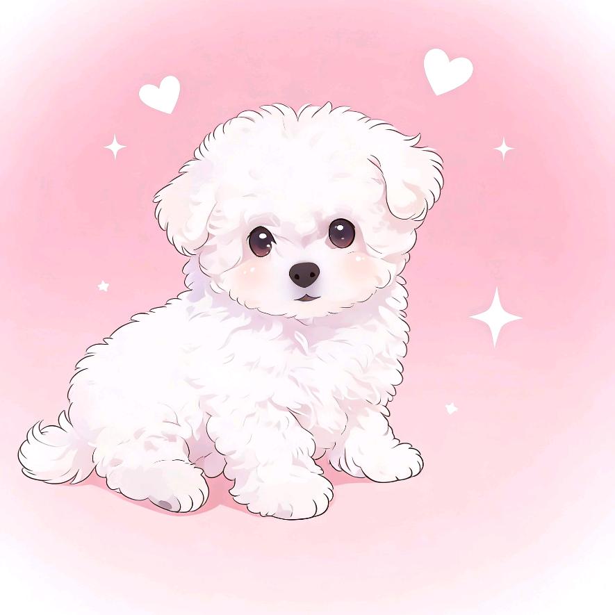 雪球🐾•按时长大🌟