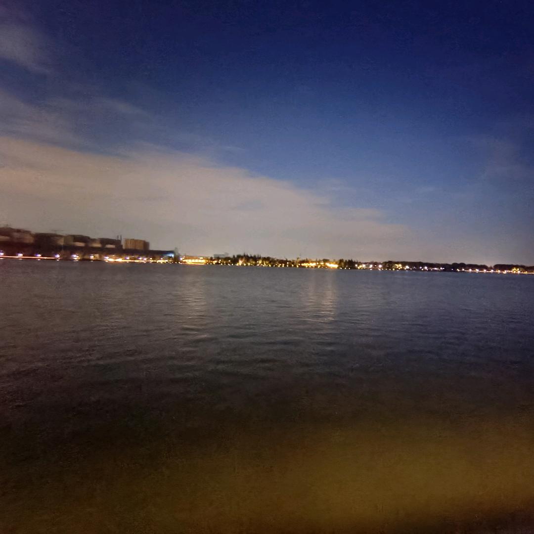 🌸🌸🌸🌺🌺🌺🌺