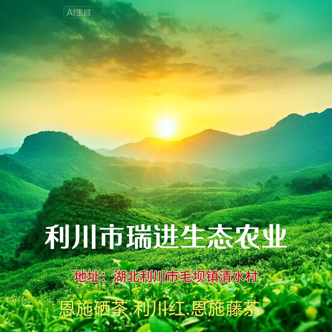 利川瑞进茶缘记