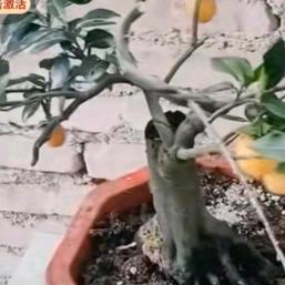 男人伤透心的女人一辈子