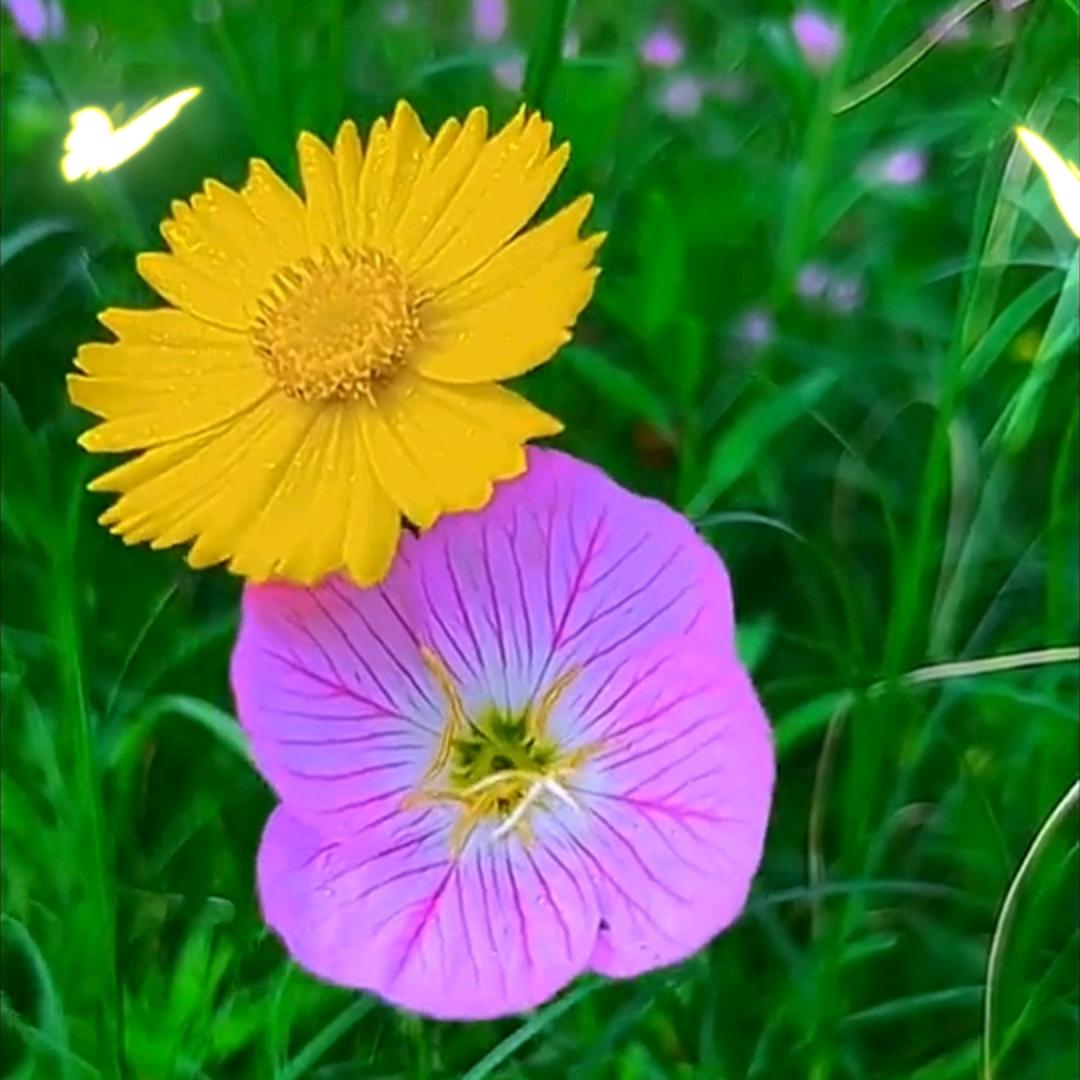不谈从前不念过往。💞