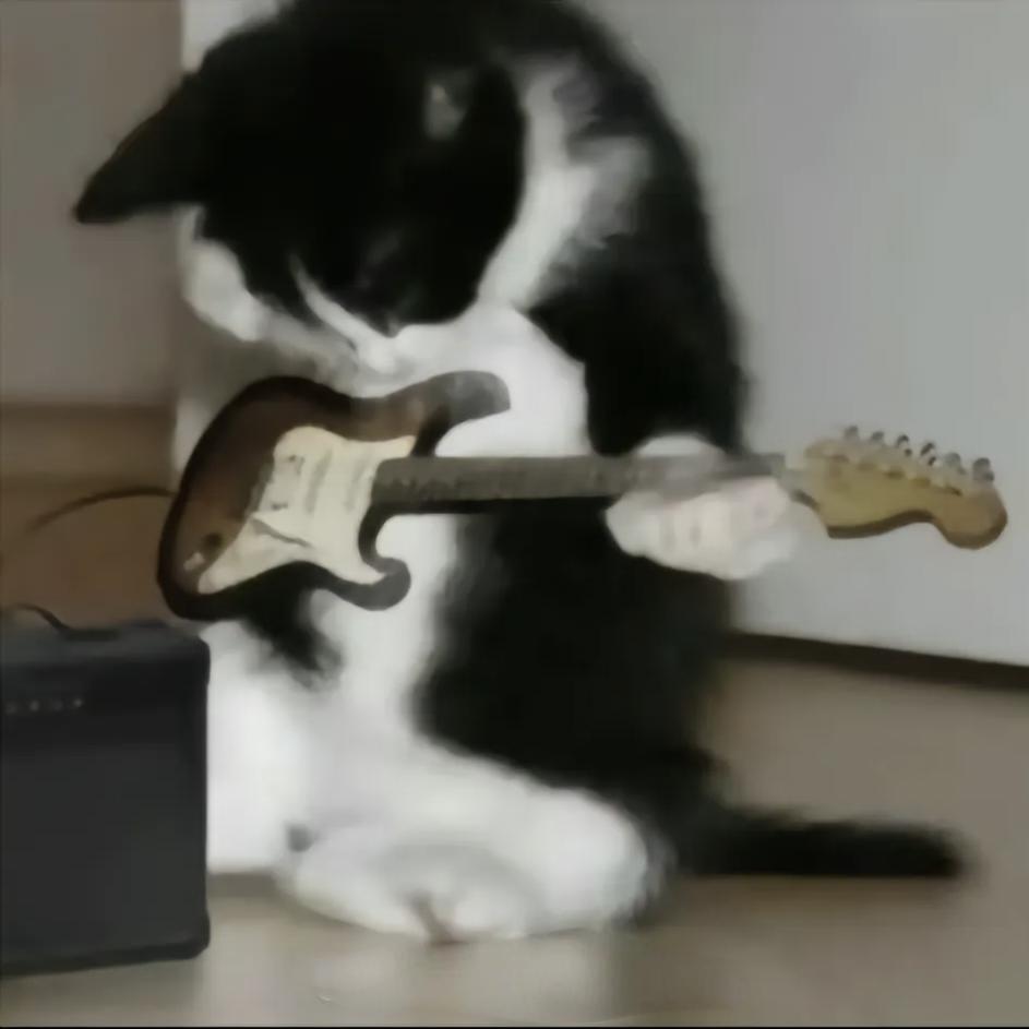 吉他猫