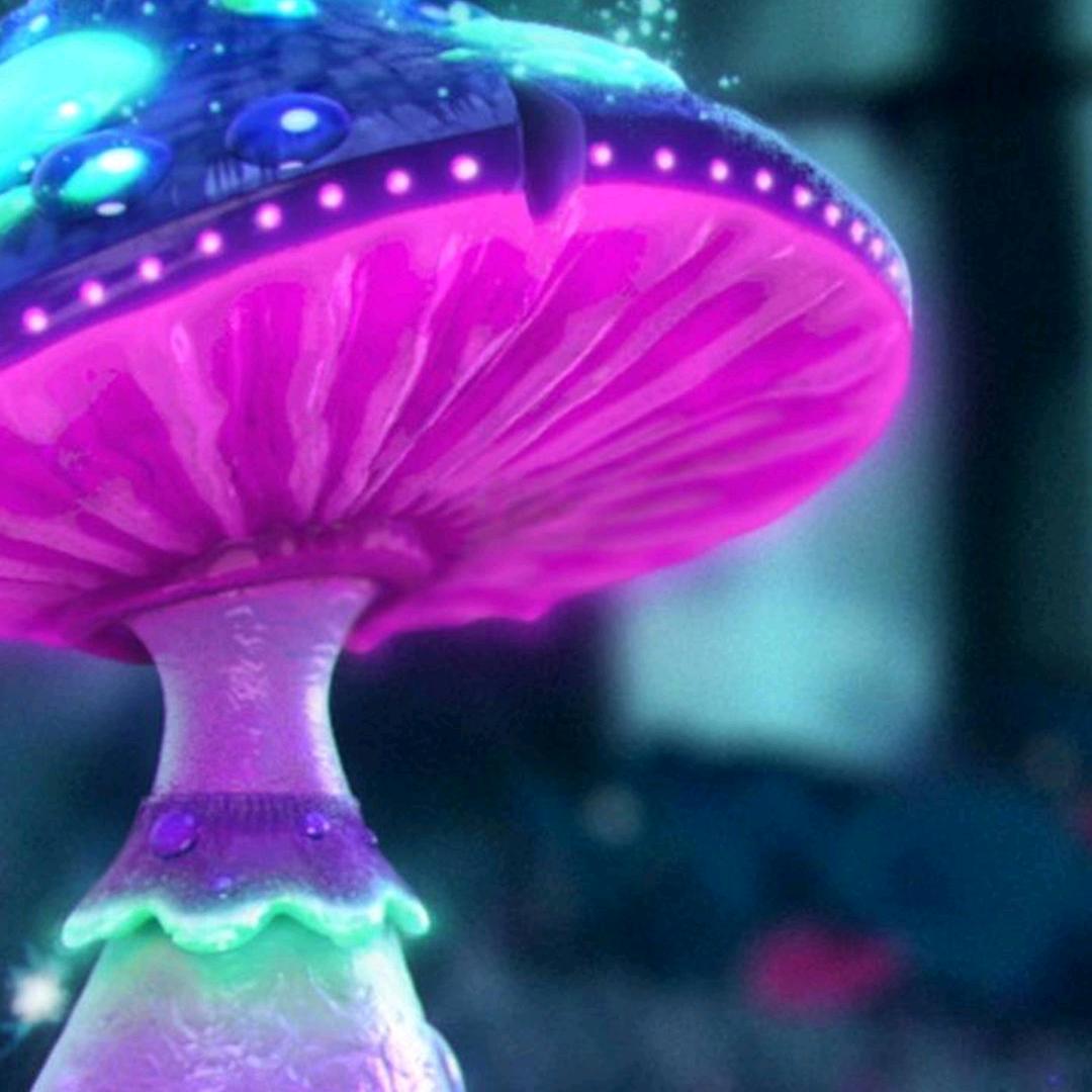 💕᭄ꦿ劫后ོ࿆余生᭄🕊