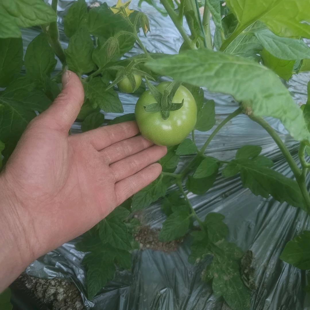 人生无悔