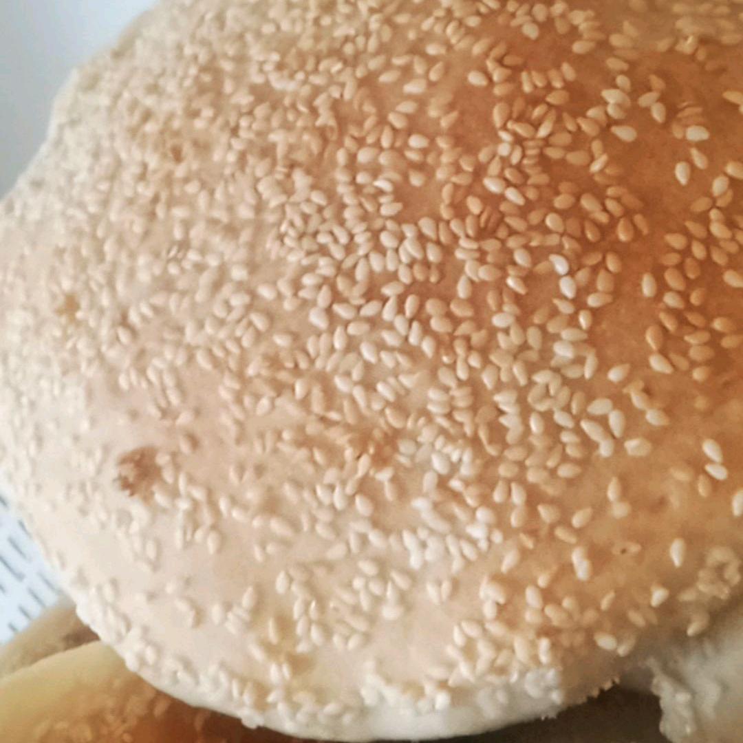 鸿福源