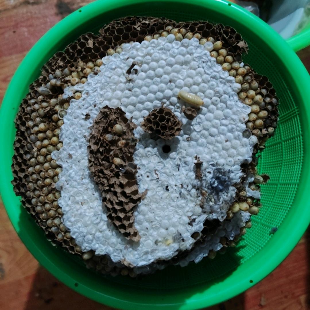 一心向前