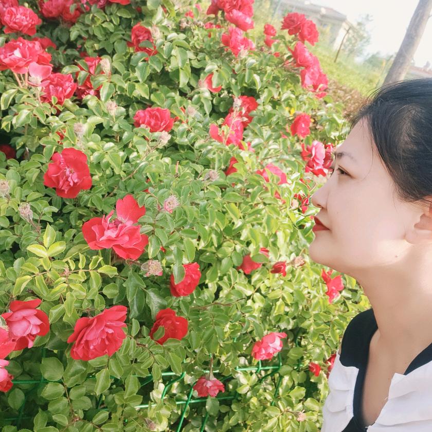 巨蟹座的傻丫头
