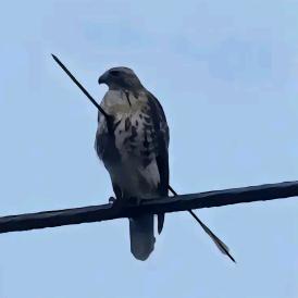 梓木藏城～坤地栽志