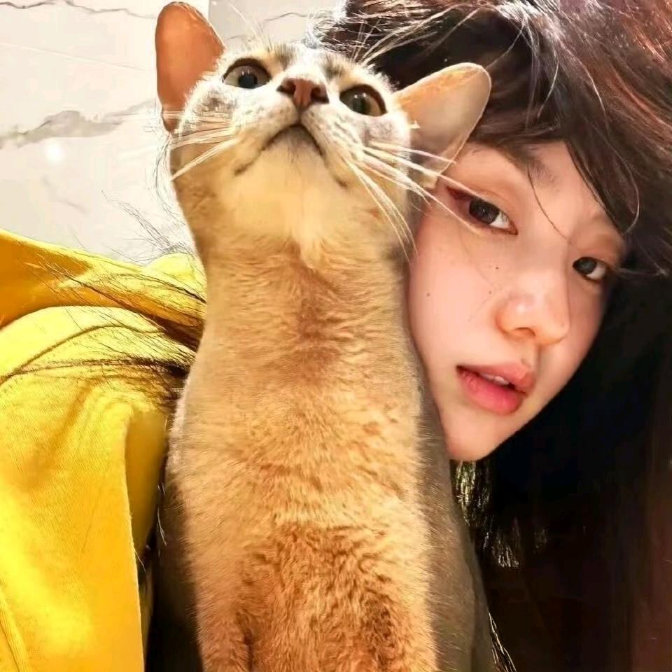 🍤.
