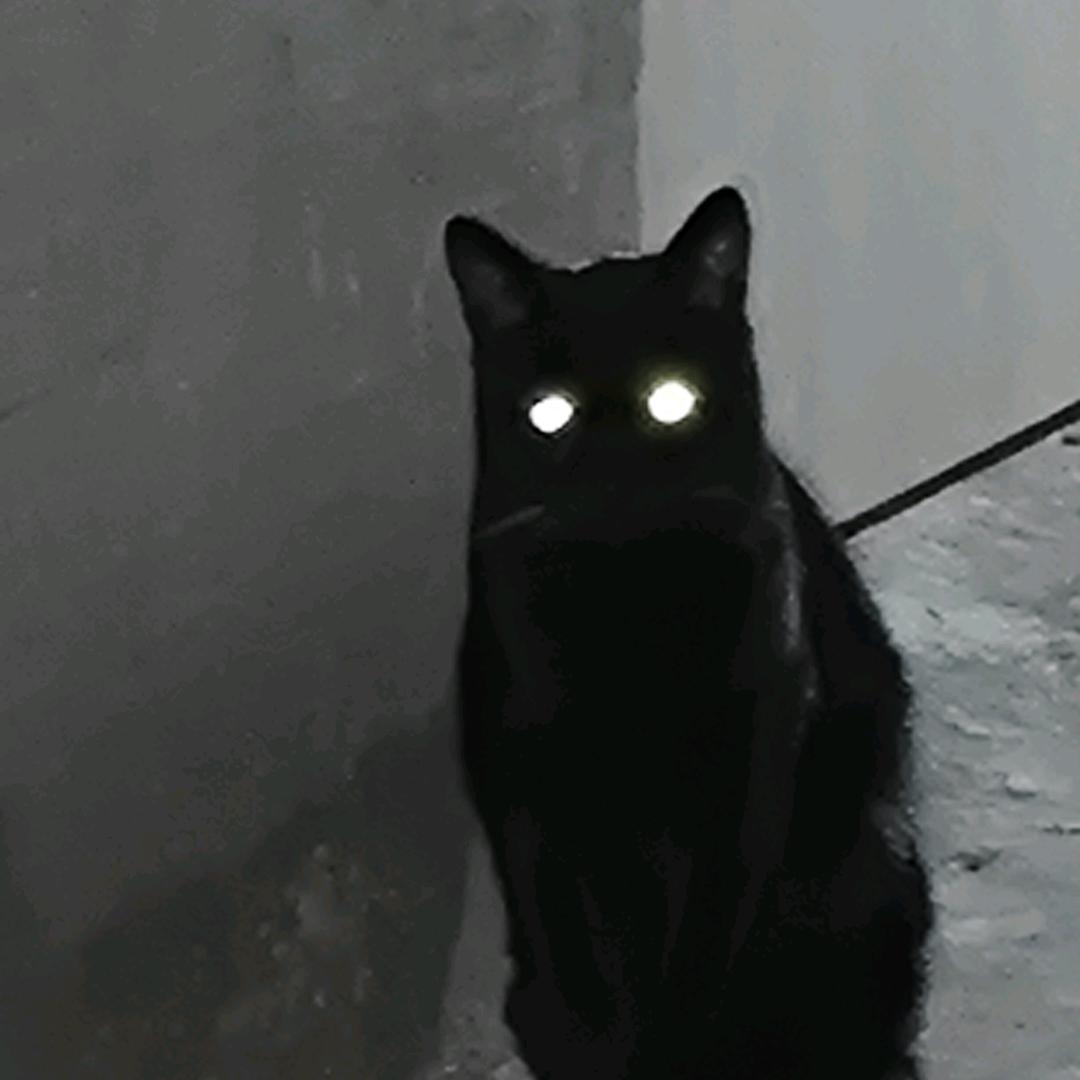 眨眼睛
