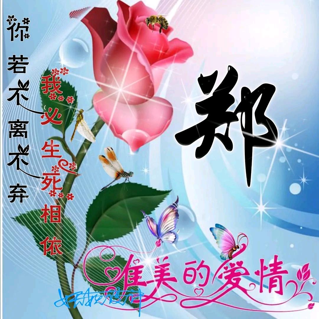 红姐