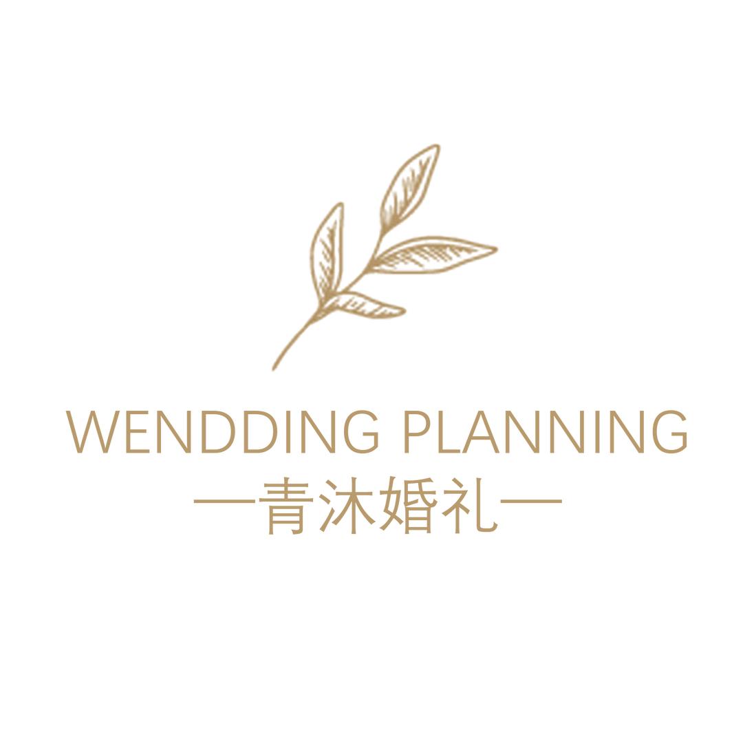 西和县青沐婚礼