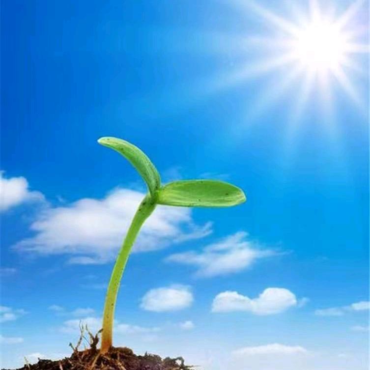 💞໑ຼ夕夏এ᭄💕