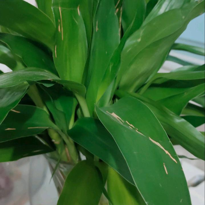 燕姐爱运动（下午3点30分）