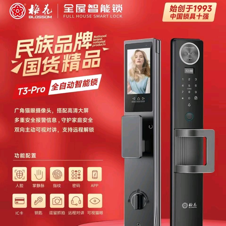 开锁天才ᵗˢᵏ