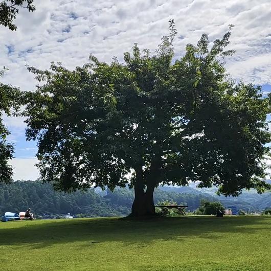 福袋（土生金）😄