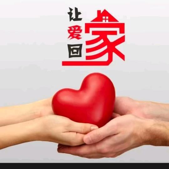 让爱回家