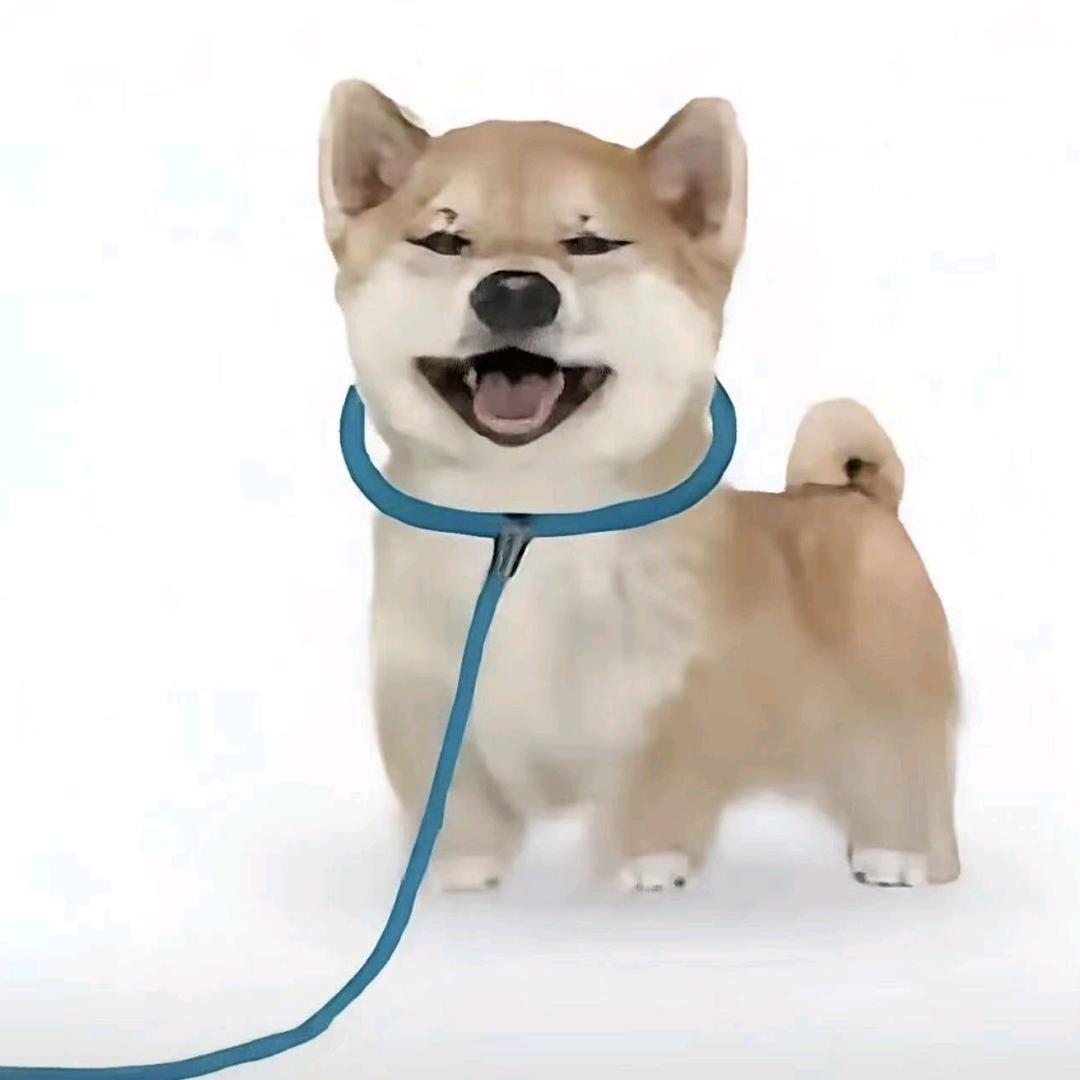 筒筒控（李歌）