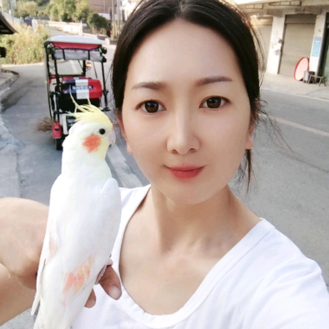 明知顾问