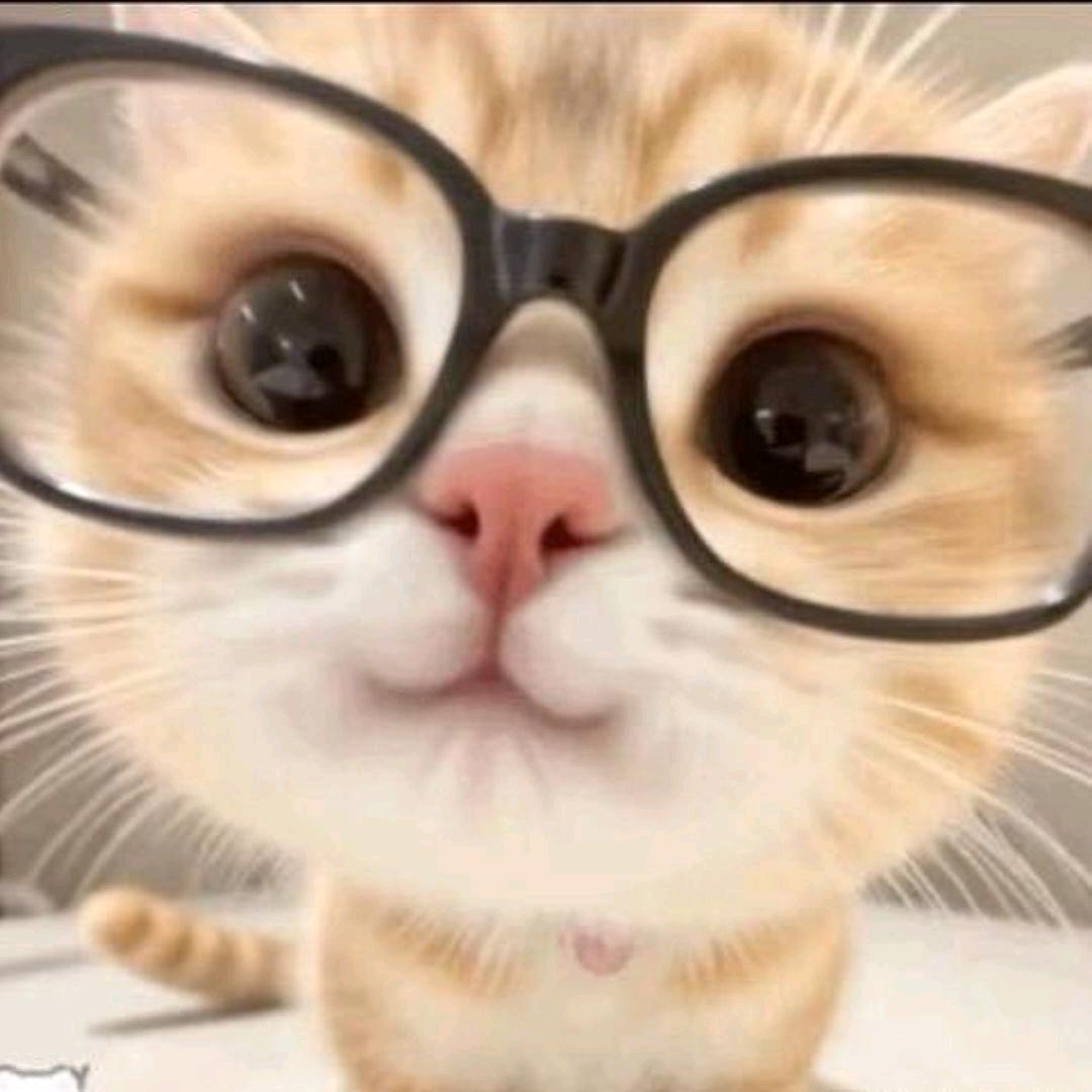 mathPhysics😇