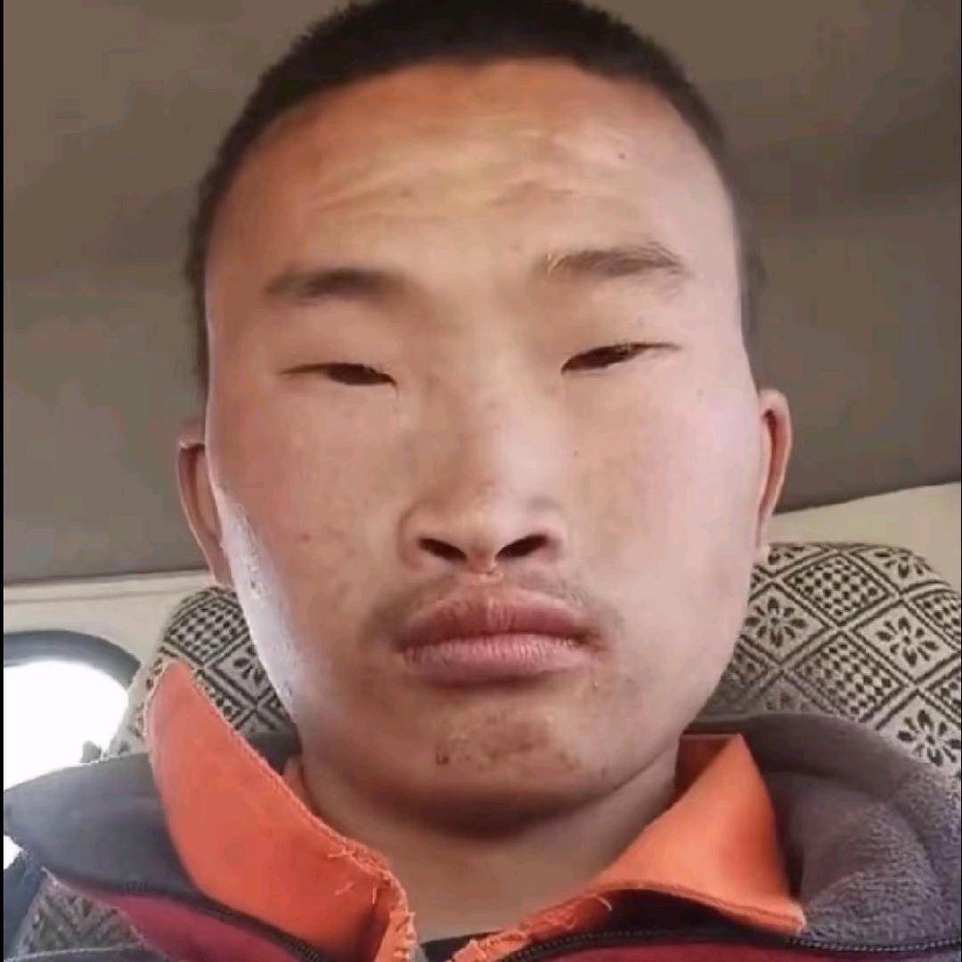 单臂夹屎老母猪头像