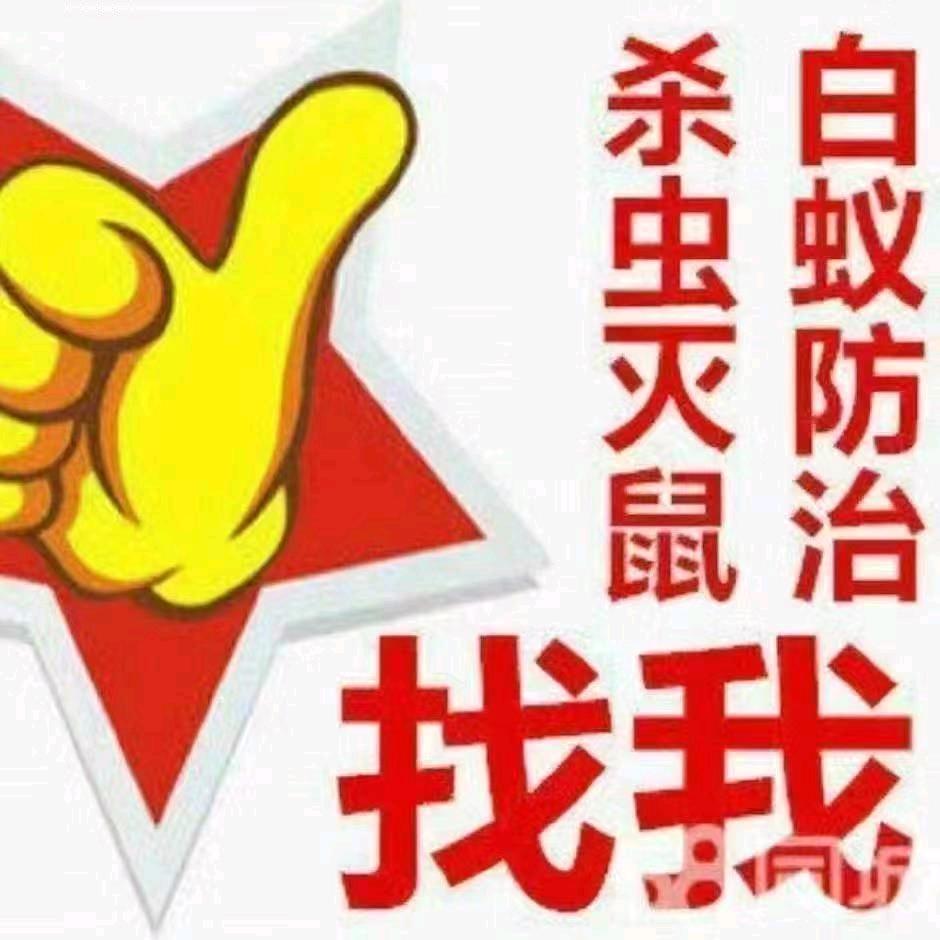 白蚁 防治除四害
